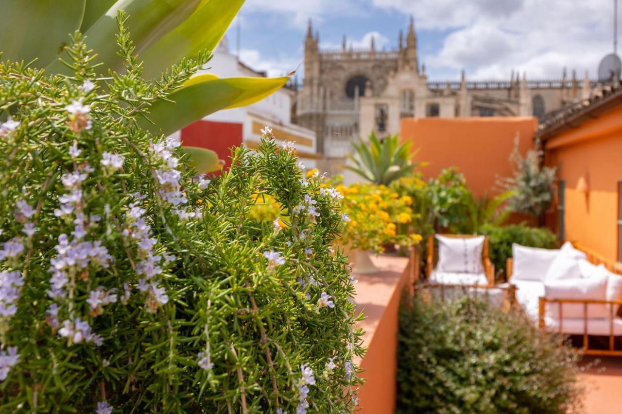 Ohliving Cathedral View Apartamento *