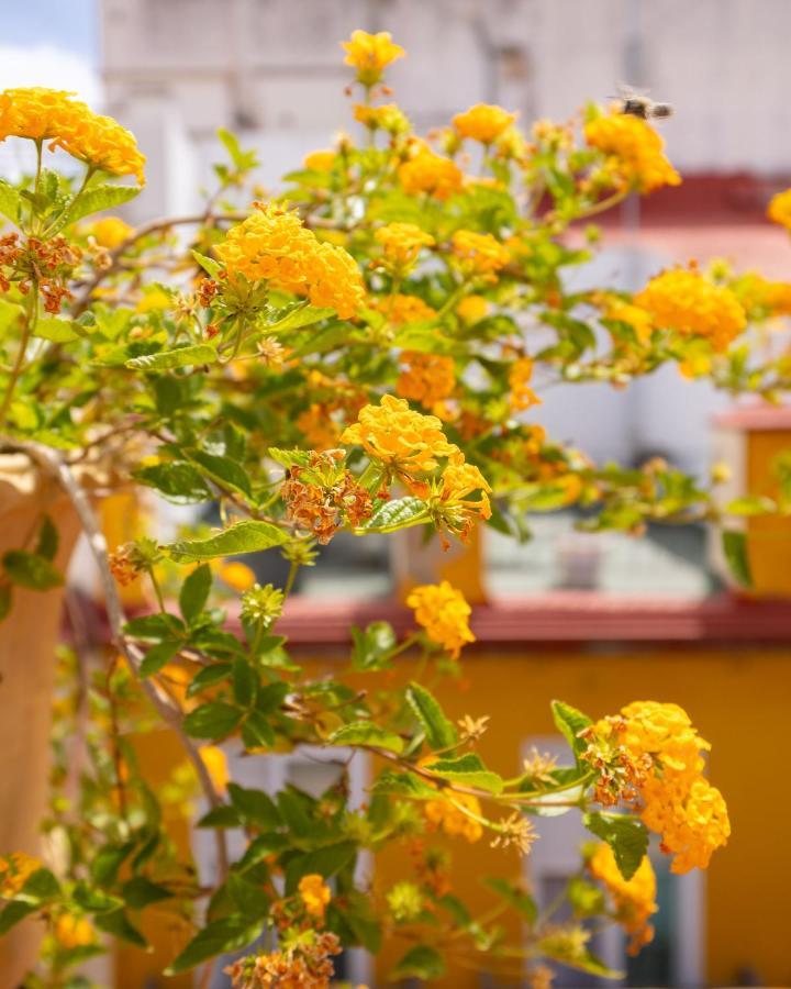 Apartamento Ohliving Cathedral View Sevilla